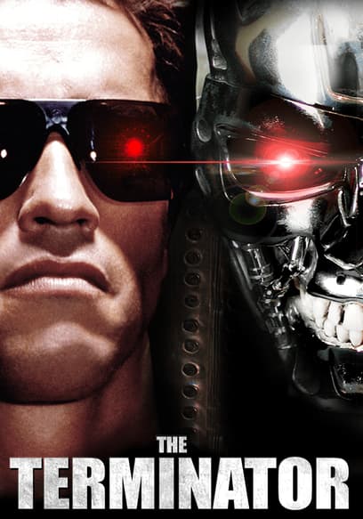 The Terminator poster