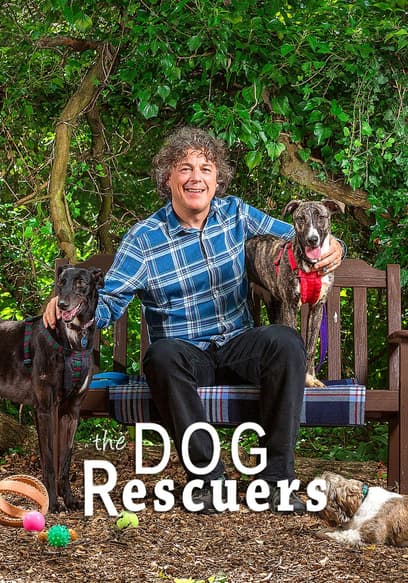 The Dog Rescuers