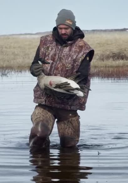 S01:E08 - Goose Break poster