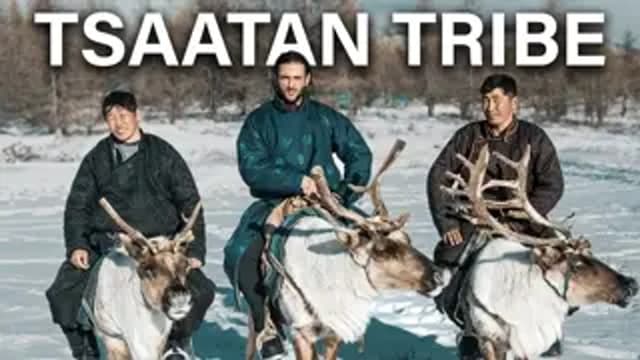 S01:E01 - THE REINDEER MEN