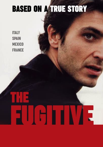 The Fugitive