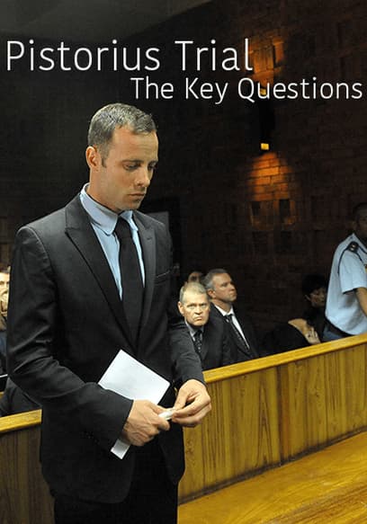 Pistorius Trial:  The Key Questions poster