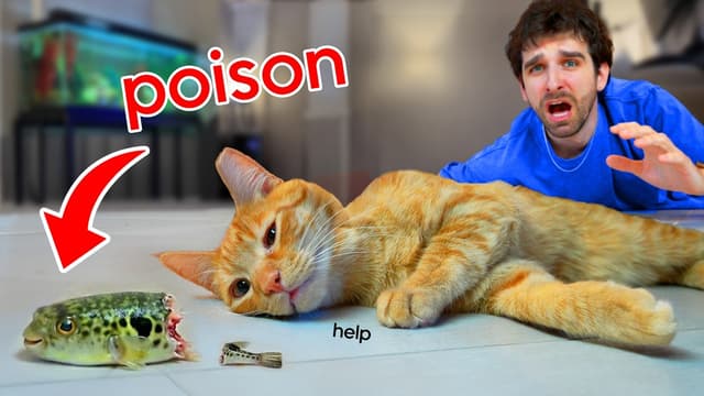S01:E16 - Kitten Eats Poison Fish