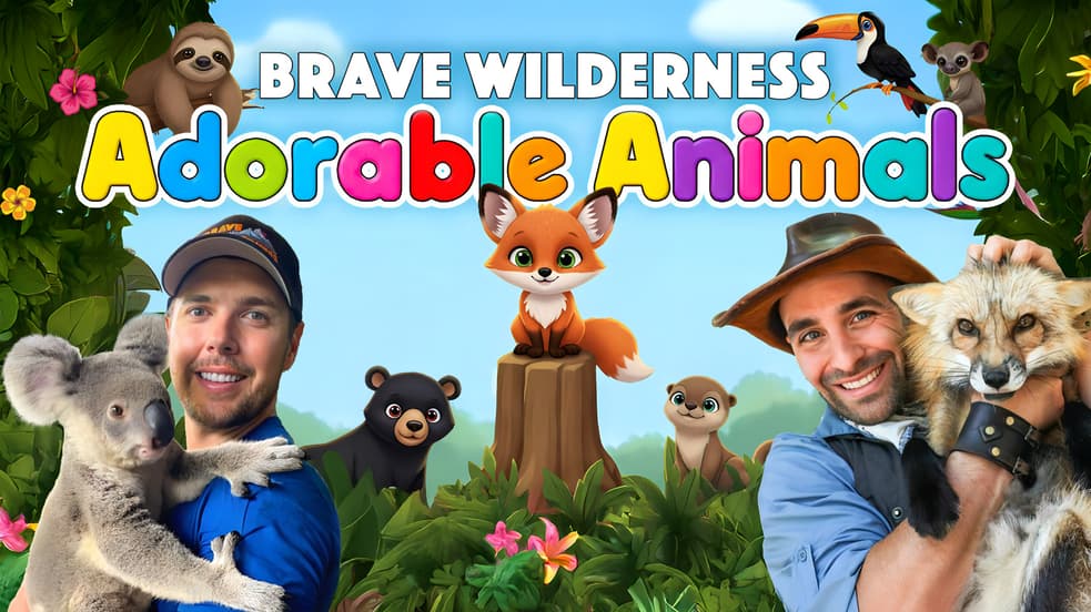 Watch Brave Wilderness: Adorable Animals Streaming Online | Tubi Free TV