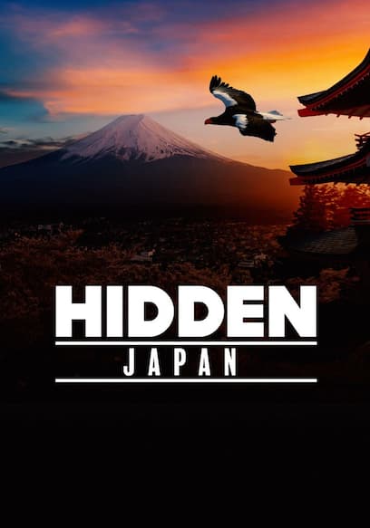 Hidden Japan