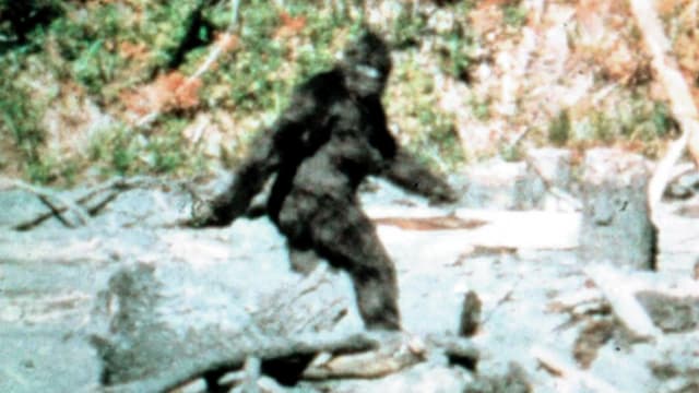 S04:E15 - The Legend of Bigfoot