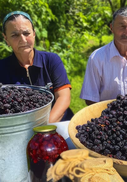 Affiche de S01:E09 - Blackberry Pie and Jams
