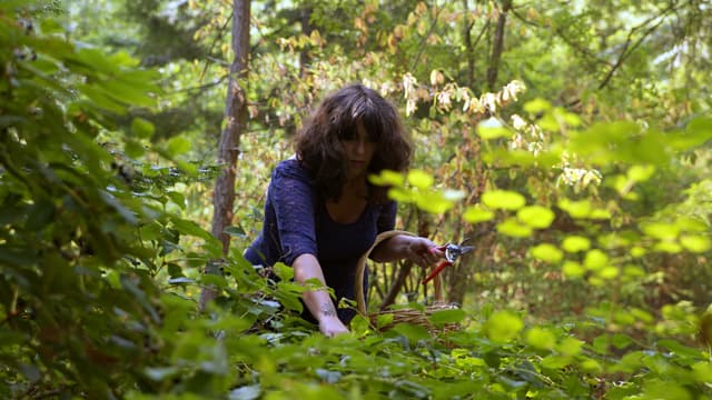 S01:E03 - The Wild Garden
