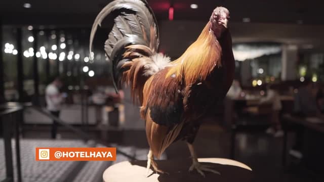 S02:E02 - Tampa Bay (Pt. 2)