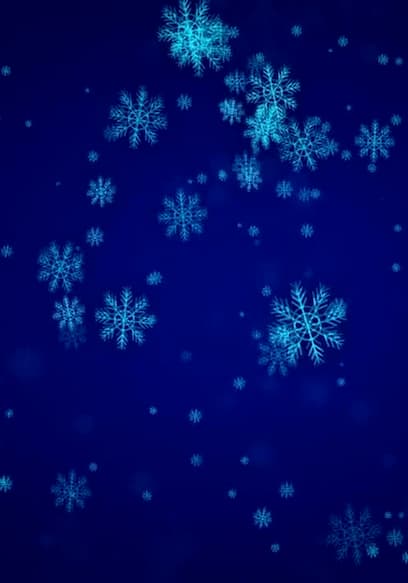 S01:E02 - Snowflakes With Music poster