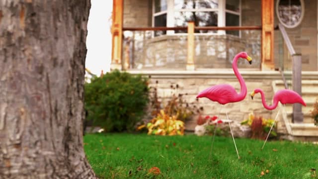 S01:E01 - Flaming Flamingos