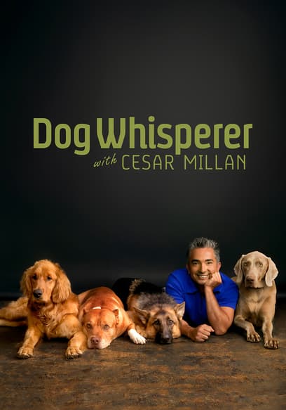S05:E13 - Bulldog on the Edge