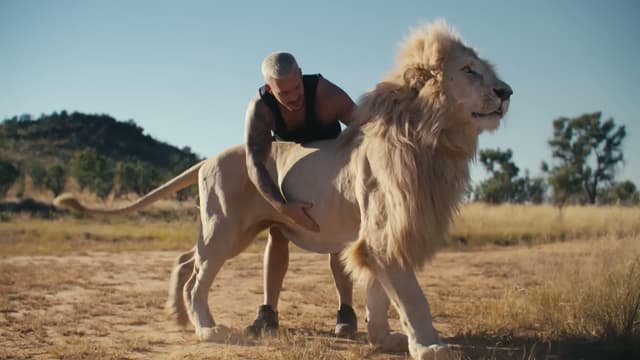 S01:E02 - Lion Reunion Turns Wild!