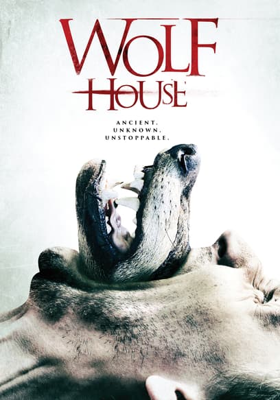 Wolf House poster