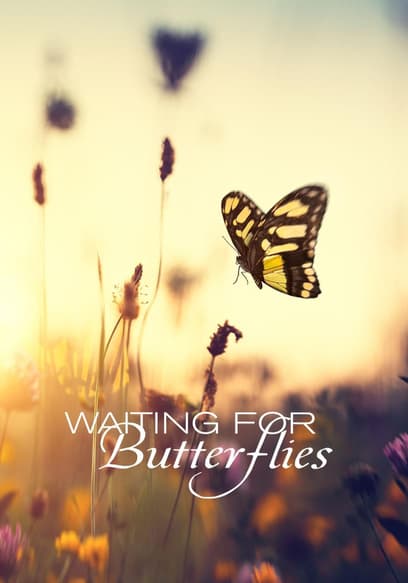 Waiting for Butterflies
