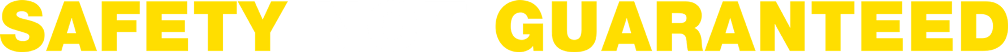 Safety Not Guaranteed