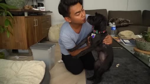 Watch Guava Juice S01:E06 Do Not Bake a Cake at 3am Free TV