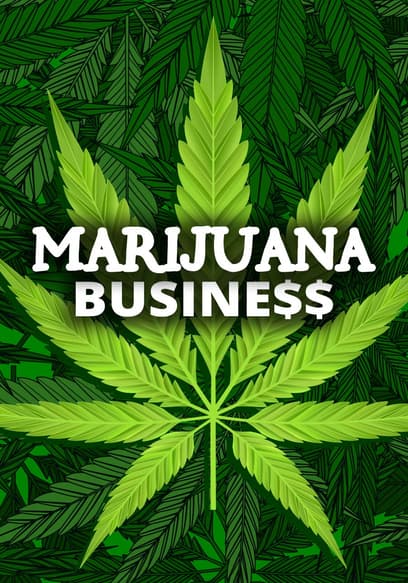 Marijuana Business
