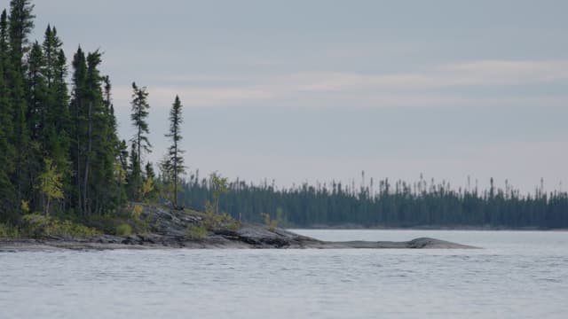 S10:E04 - Lake of Thieves