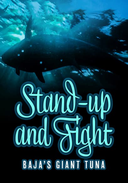 Stand Up and Fight: Baja's Giant Tuna