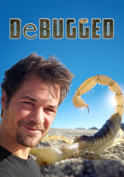 Debugged