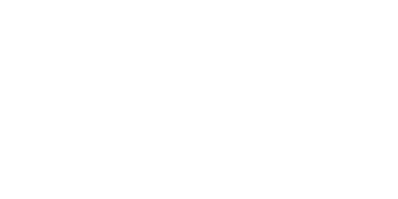 Animal Senses