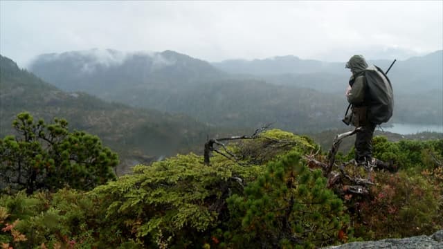 S01:E01 - Into the Clouds: Sitka Blacktail Deer