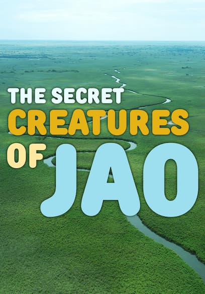 The Secret Creatures of Jao