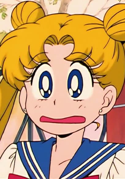 S01:E37 - Let’s Become a Princess: Usagi’s Bizarre Training poster
