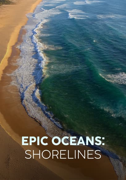 Epic Oceans: Shorelines poster
