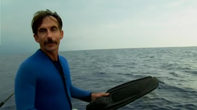 S01:E19 - The Shark Files: Music