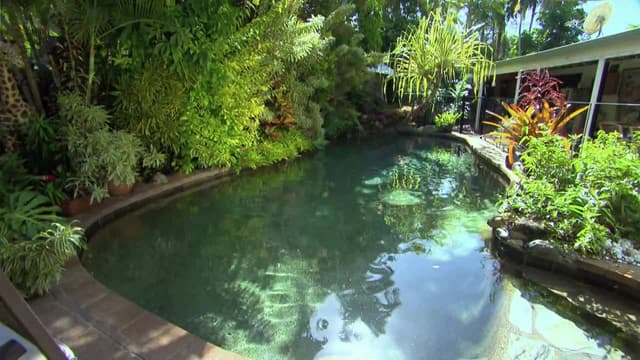 S01:E09 - Quirky Gardens