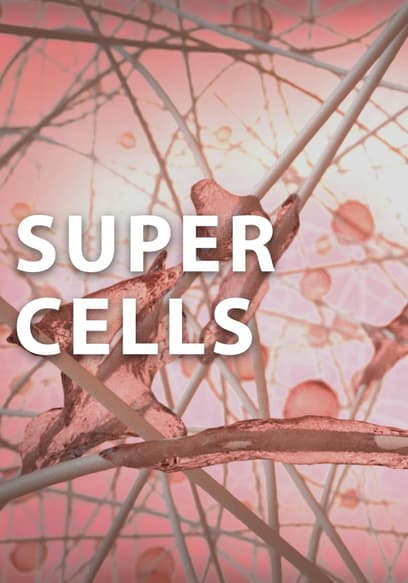 Ver Supercells (2013) - Películas gratis | Tubi