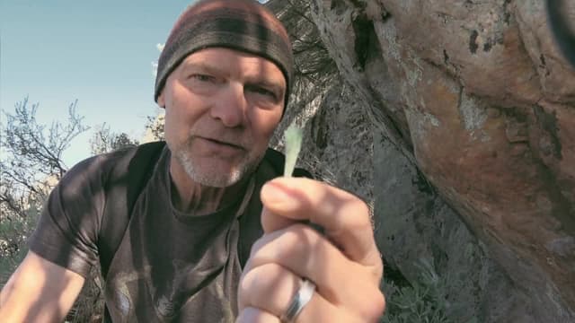 S02:E01 - Balsam Root & Sagebrush