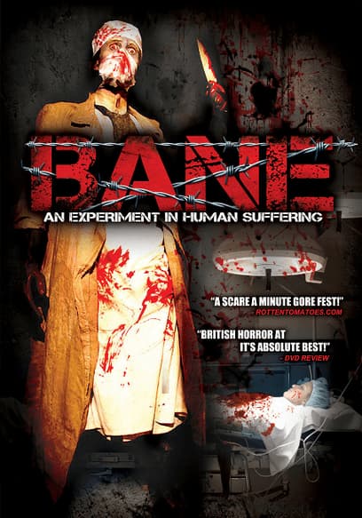 Bane: An Experiment in Human Suffering