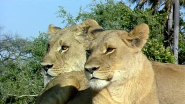 S01:E01 - The Matriarch's World