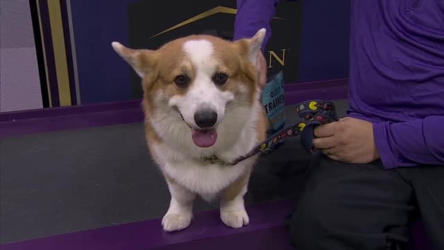 S2024:E05 - Agility 2024