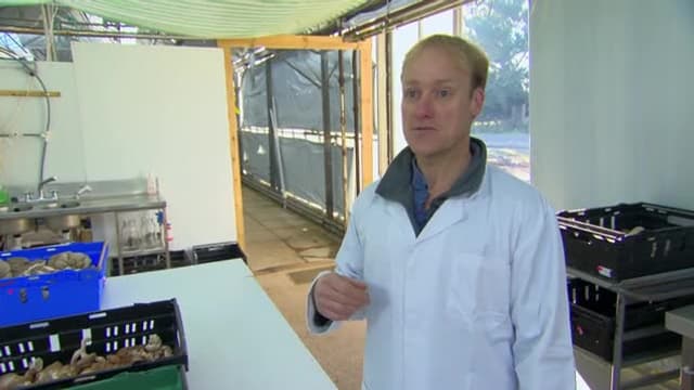 S01:E15 - Dressed to Impress