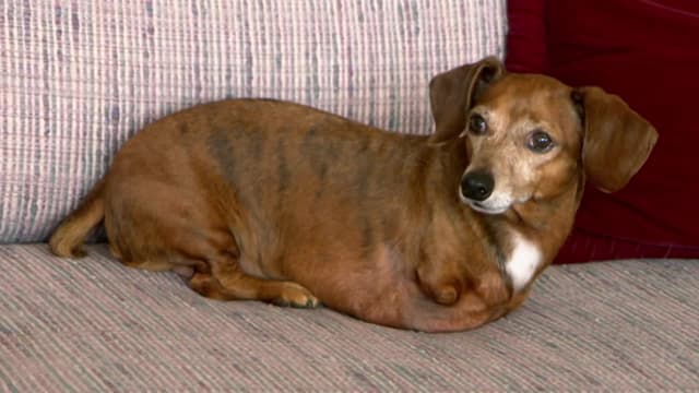 S01:E01 - Unexpected Companions