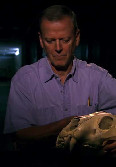 S03:E09 - Cleveland Tumor and More poster