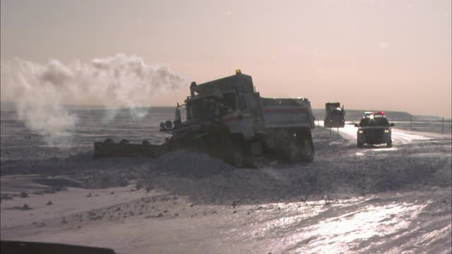 S04:E16 - New King of the Dalton