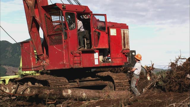 S05:E13 - Where's Willy