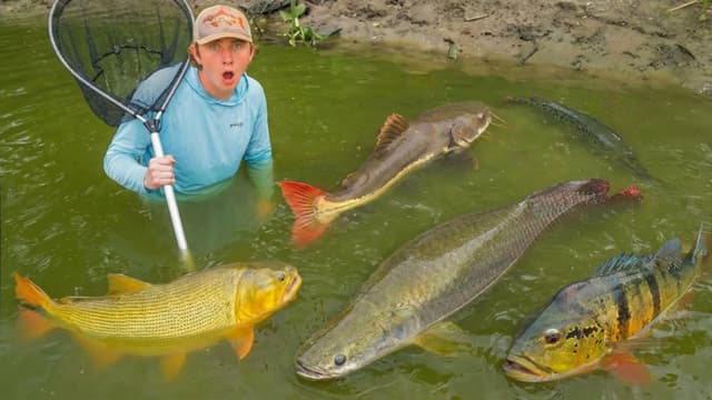 Bass Fishing Productions