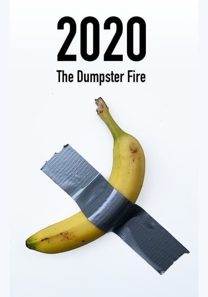 2020: The Dumpster Fire