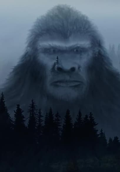 S01:E01 - The Nature of Bigfoot poster