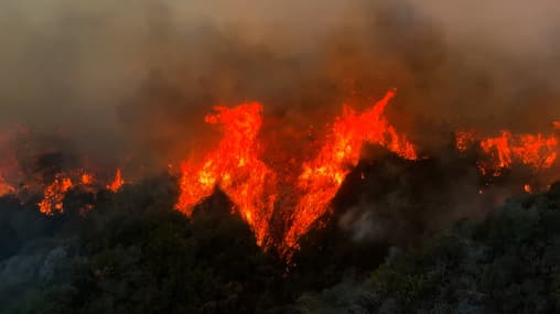 Watch LA Firestorm: Inside the Inferno S01:E01 - Inside the