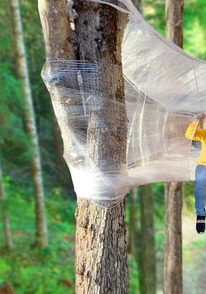 S01:E05 - I Built a Plastic Wrap Treehouse poster