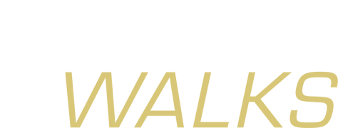 Nobody Walks (Español)