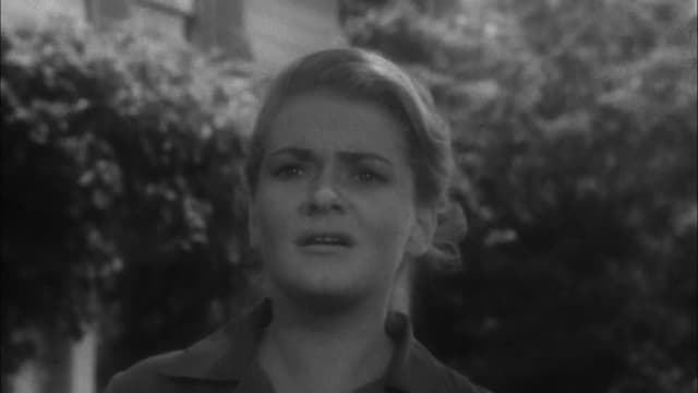 S01:E29 - A Feasibility Study