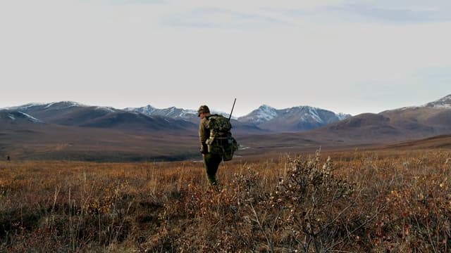 S05:E01 - Yukon Giants: Northern Alaska Moose Part 1